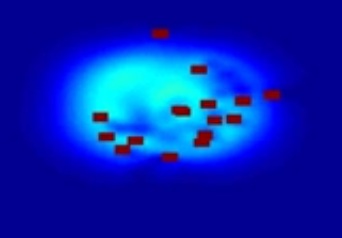 Chemotaxis